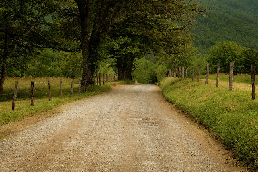 Nature Photograph - Sparks Lane - Cades Cove by Andrew Soundarajan