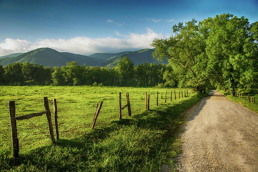 Sparks Lane Smoky Mountains National Park Tennessee In Summer ...