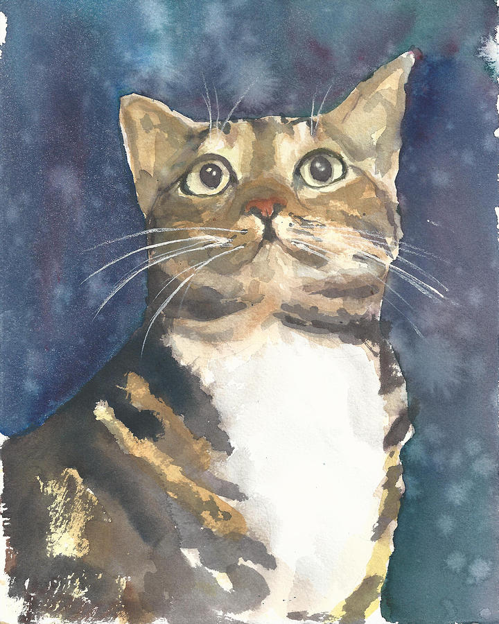 Cat Painting - Sparky by Joyce Casey