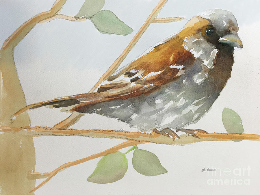 Sparrow Painting - Sparrow 1 by Shane Guinn