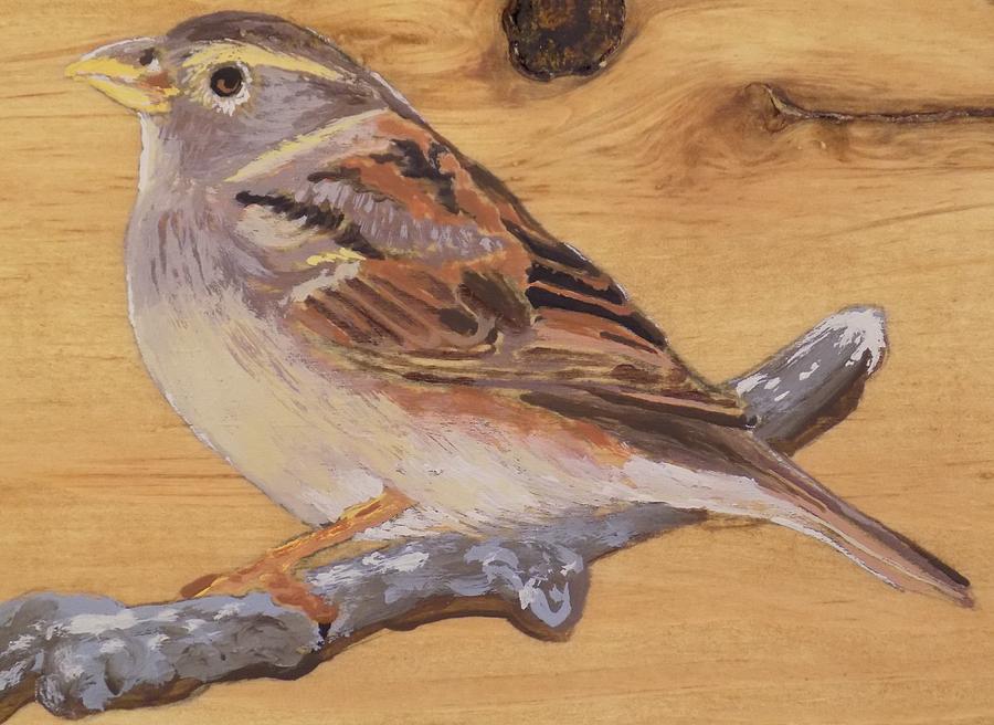 Bird Painting - Sparrow 2 by Paul Bashore