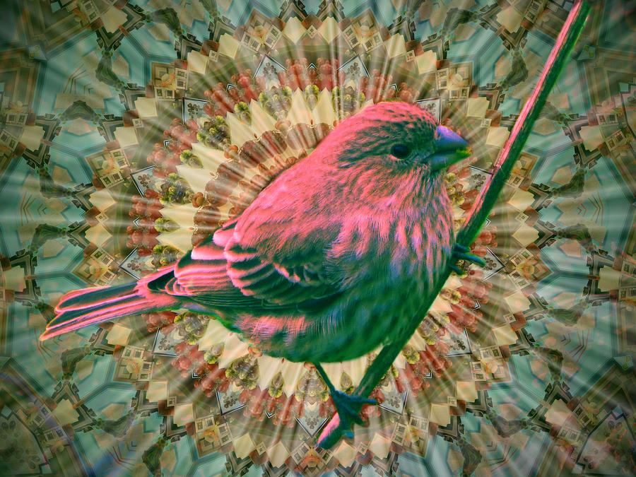 Sparrow Imagined Digital Art by Glen Faxon