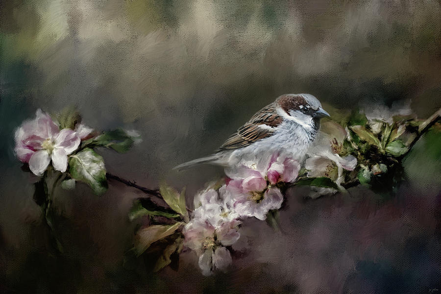 Sparrow In The Garden Photograph by Jai Johnson