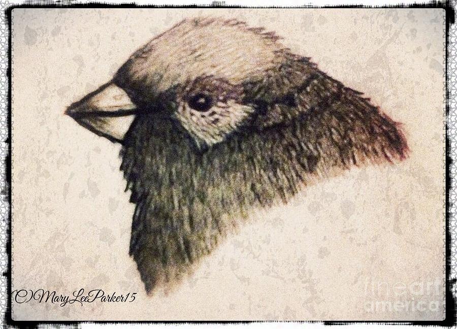 Sparrow Drawing by MaryLee Parker