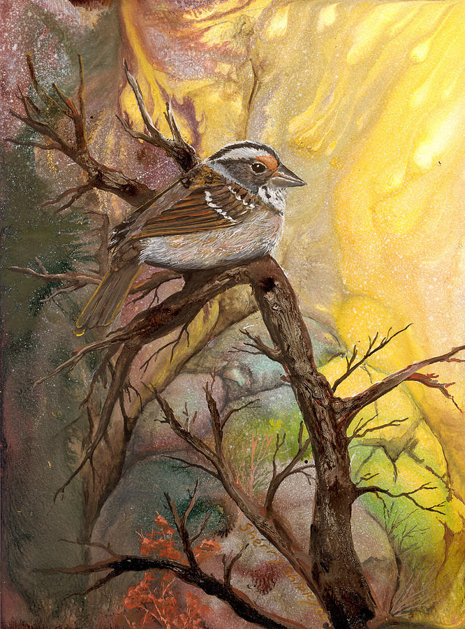 Sparrow Painting by Sherry Shipley - Fine Art America