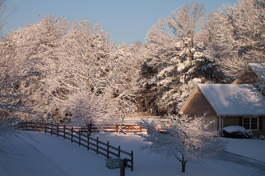 Spartanburg Winter Photograph by Arnold Hence Spartanburg Winter Photograph by Arnold Hence