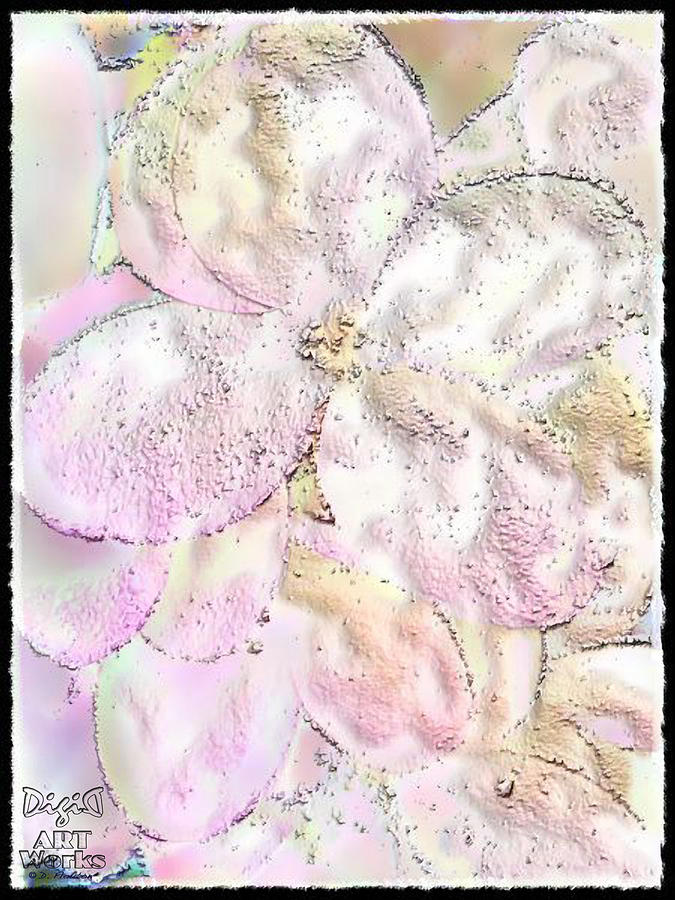 Flowers Still Life Photograph - Speak Softly Pink by Dee Flouton
