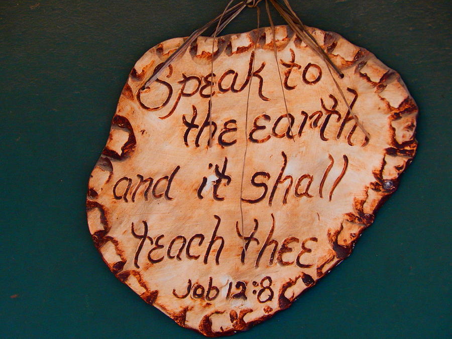 Speak To The Earth Photograph by Virginia White