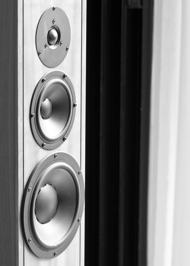 Black And White Photograph - Speaker in Black and White by Edward Myers