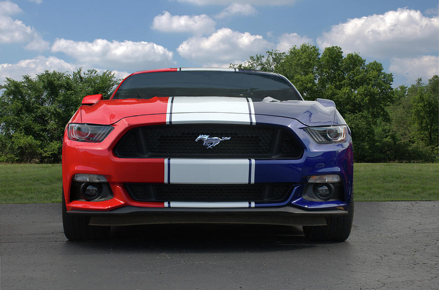 2016 Photograph - Special Edition 2016 Ford Mustang by Tim McCullough