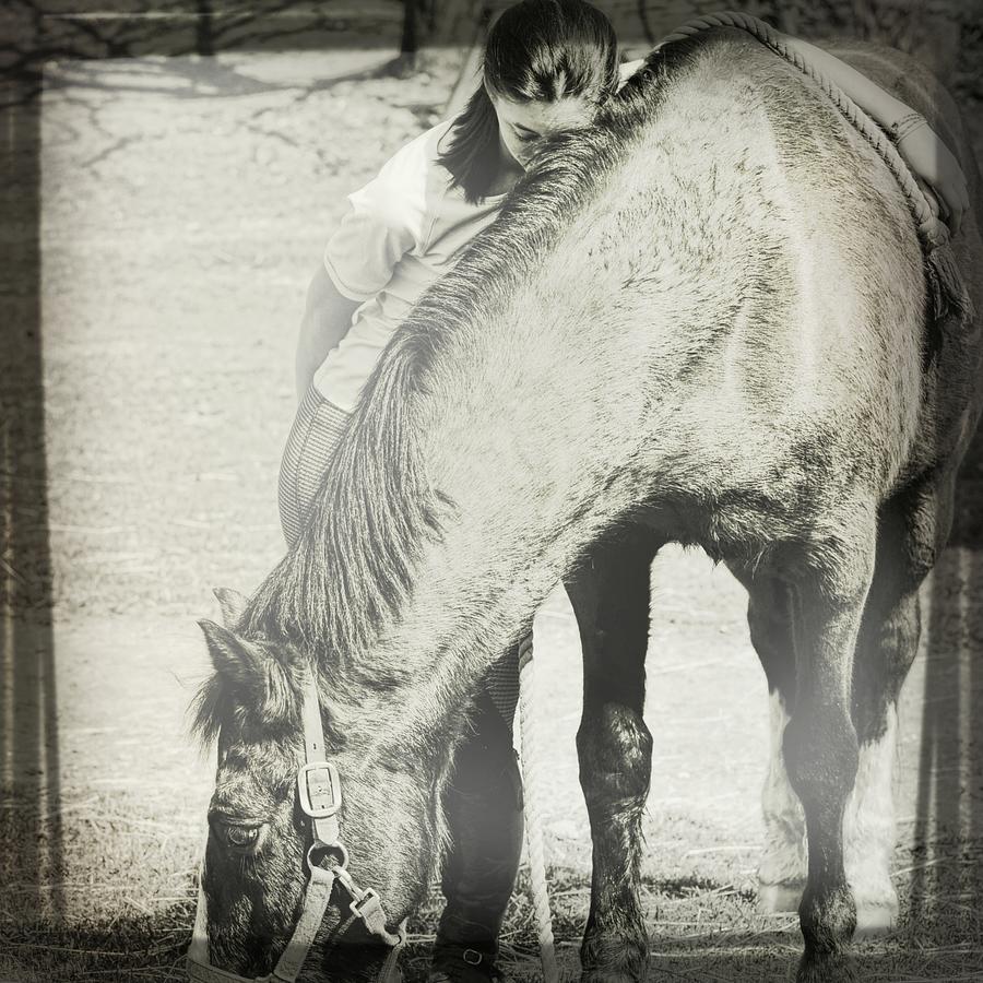 Special Pony Bond Photograph by Dressage Design