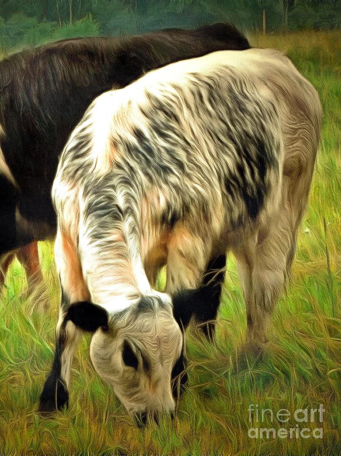 Speckled Black and White Calf - Baby Cow Photograph by Janine Riley
