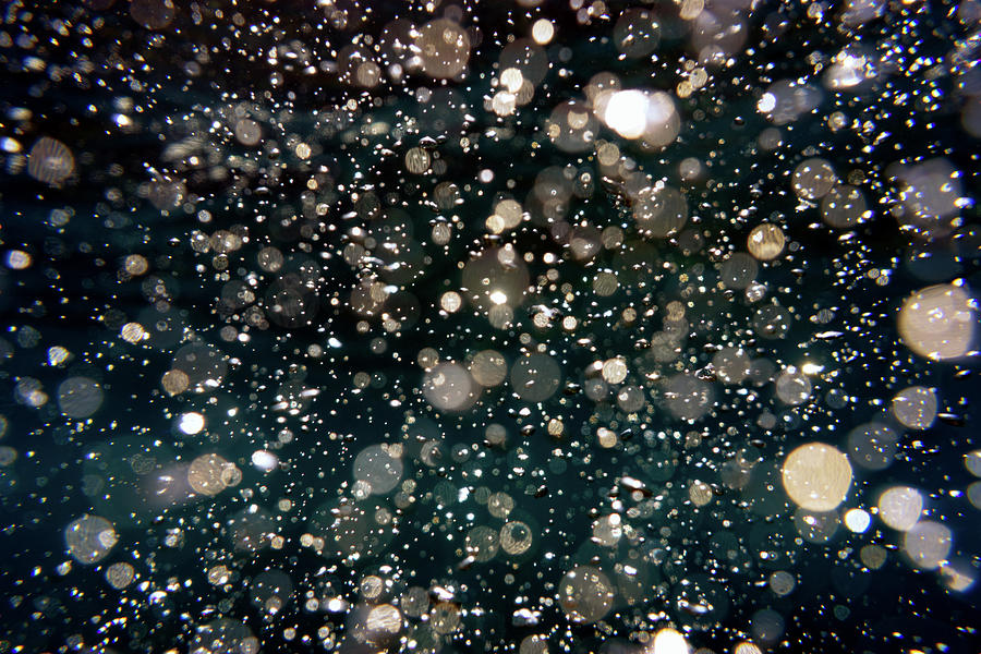 Speckled Photograph by Christopher Johnson