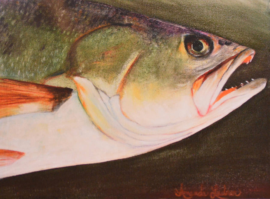Fish Painting - Speckled Trout by Amanda Ladner