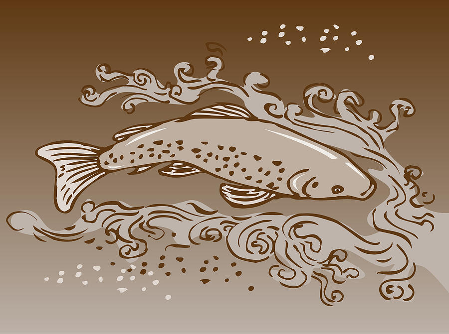 Trout Digital Art - Speckled Trout Fish by Aloysius Patrimonio