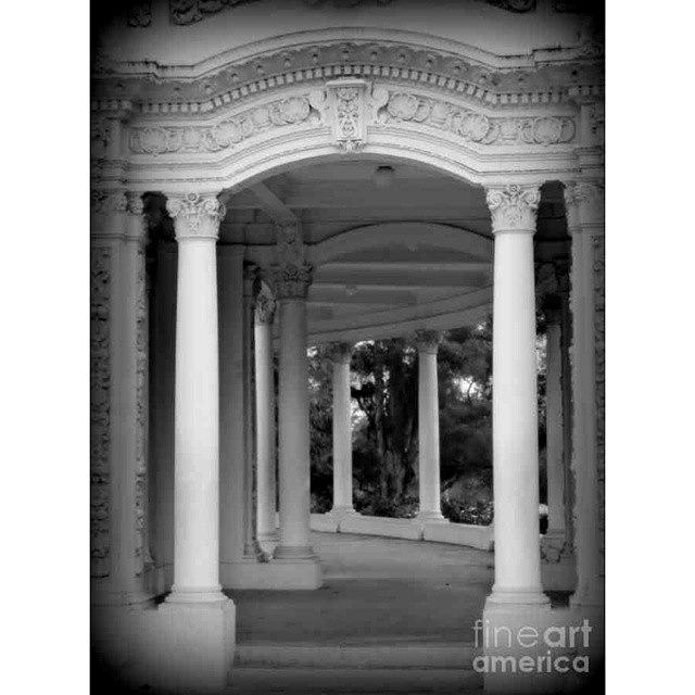 Beautiful Photograph - Speckles  Organ Pavilion,  Balboa Park by Karyn Robinson