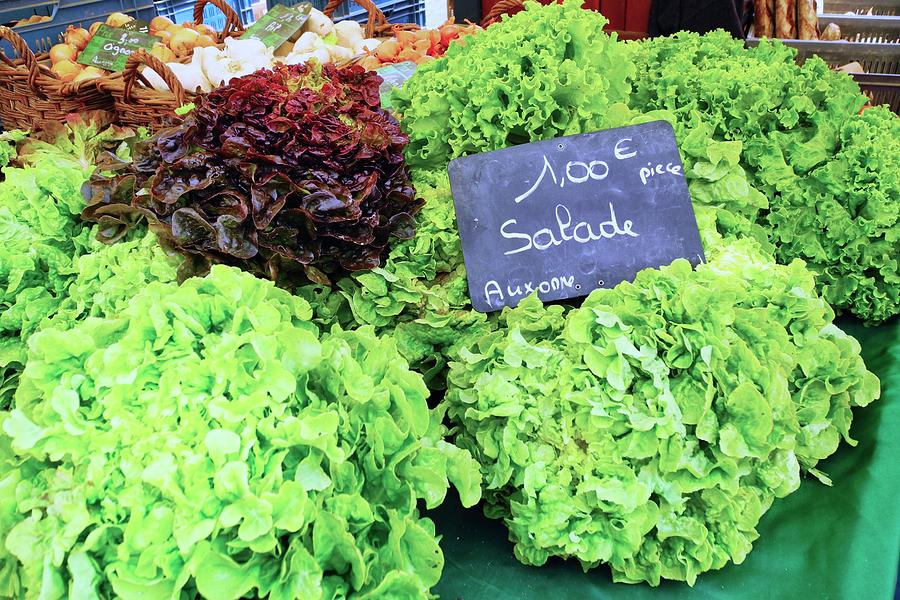 Spectacular Lettuces Photograph by Kirsten Giving
