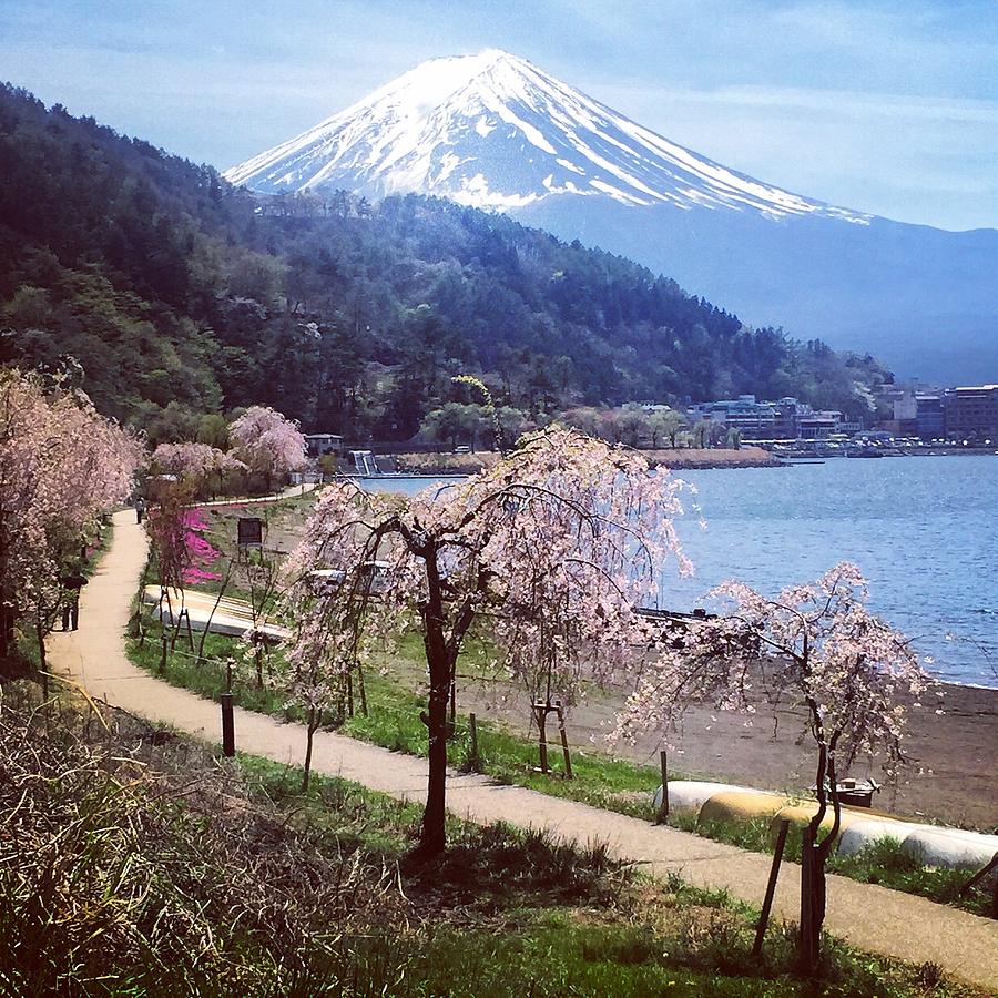 Nature Photograph - Spectacular Mount Fuji by Paru M