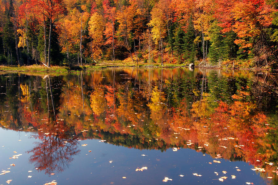 Spectacular Reflection Photograph by Dan Leffel - Fine Art America