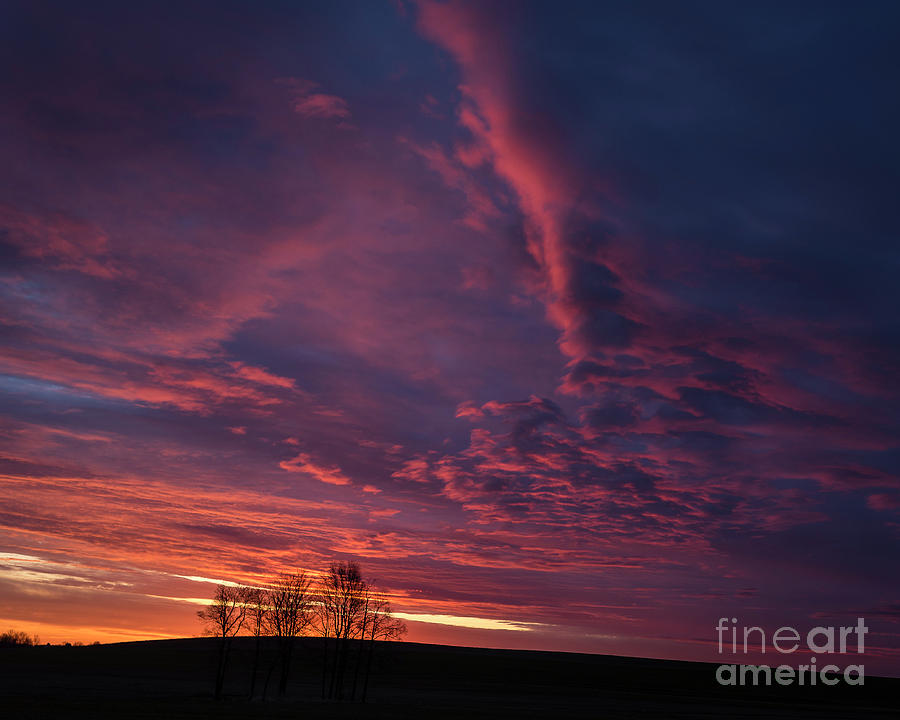 Spectacular Sunrise Photograph by Joann Long