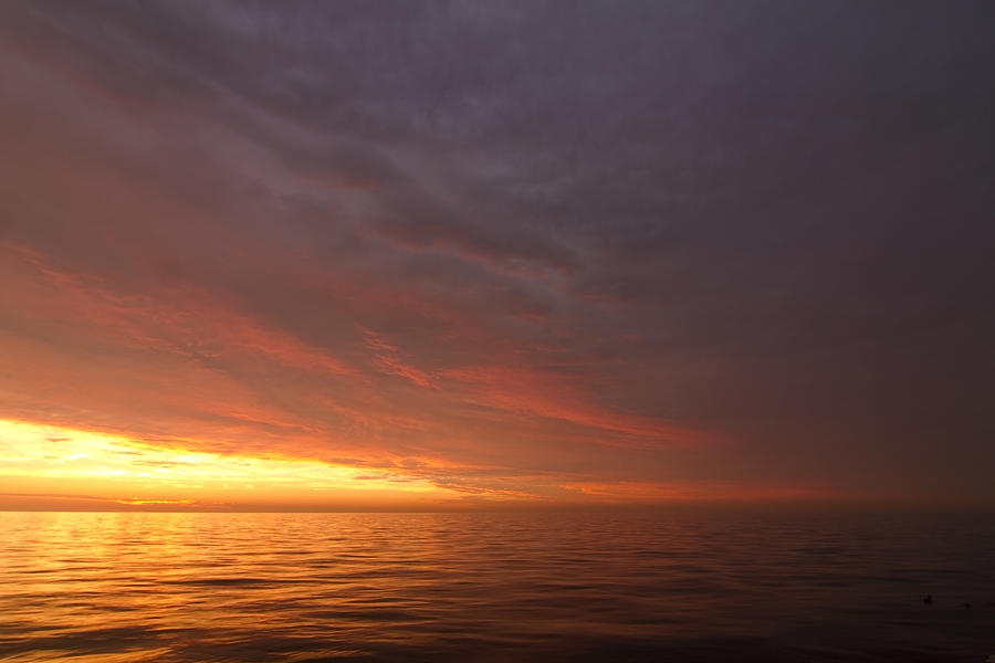 Spectacular Sunrise Photograph by Sven Brogren