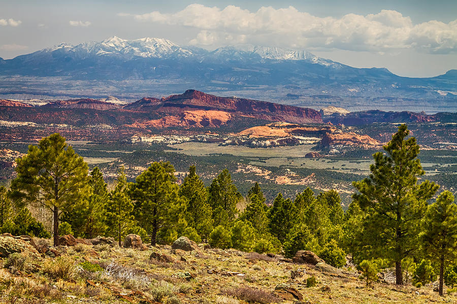Spectacular Utah Landscape Views Photograph by James BO Insogna