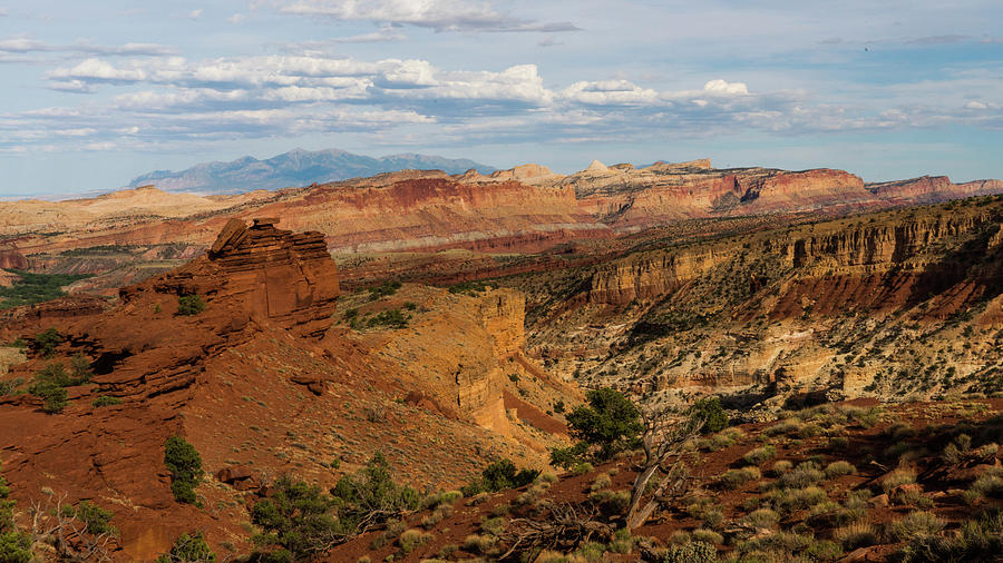 Spectacular Valley Capitol Reef National Park Utah Photograph by Lawrence S Richardson Jr