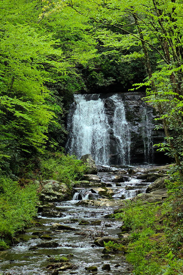 Spring Waterfall Photograph by Kevin Wheeler