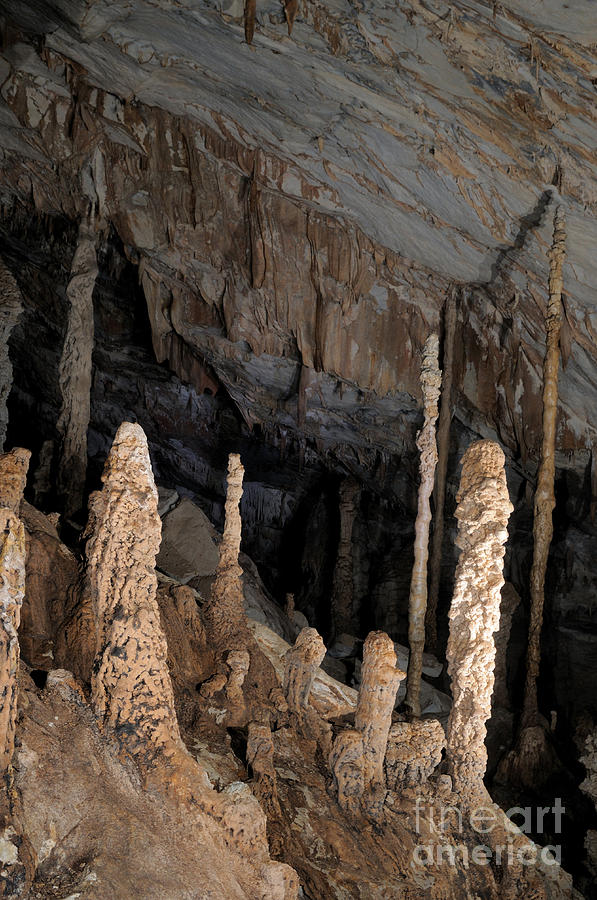 Speleothems In Wind Cave Photograph by Fletcher & Baylis