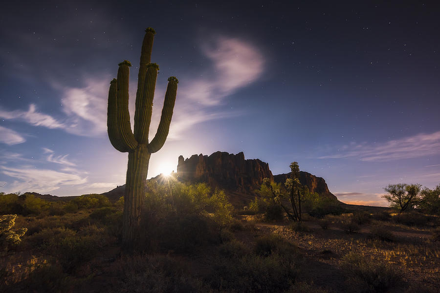 Desert Photograph - Spell Bound by Dustin LeFevre