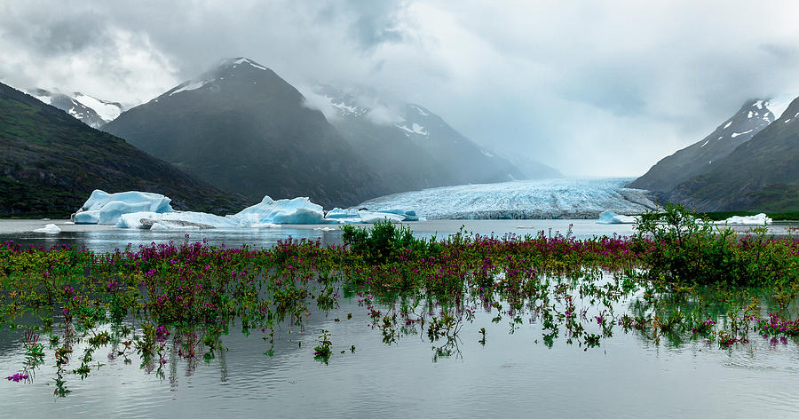 Spencer Glacier Photograph by Kyle Lavey