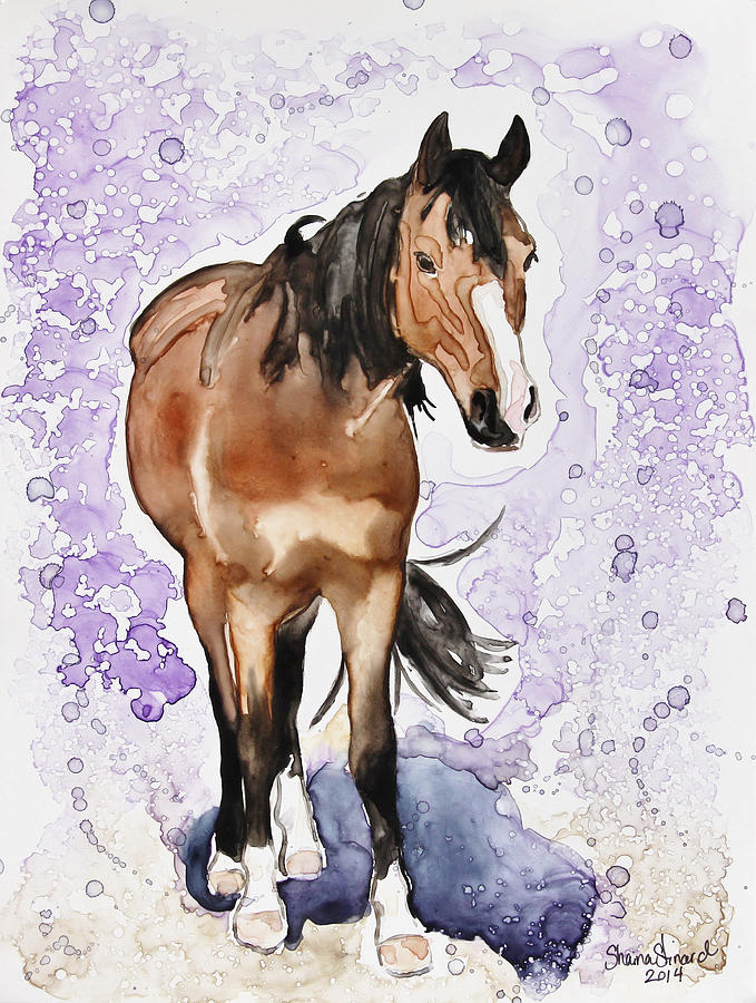 Horse Painting - Spencer by Shaina Stinard