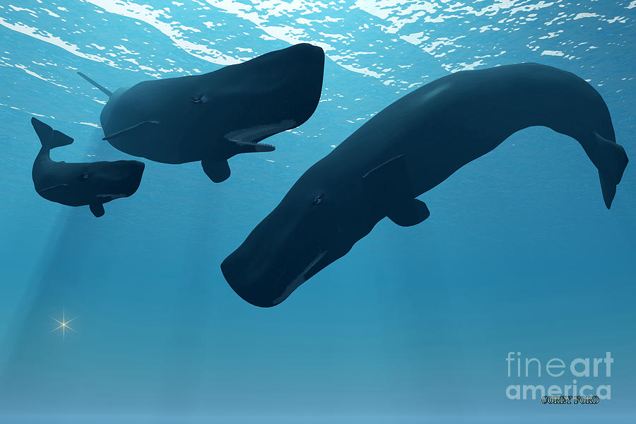 Sperm Whale Encounter Painting by Corey Ford