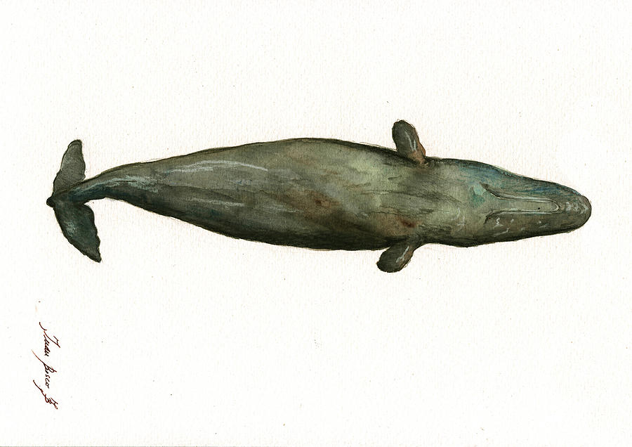 Whale Painting - Sperm whale sleeping by Juan Bosco