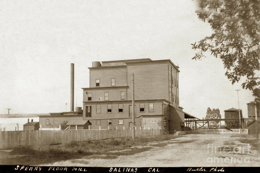Sperry Photograph - Sperry Flour Mill. Salinas, California  Circa 1908  by Monterey County Historical Society