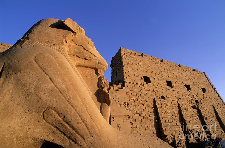 Sunset Photograph - Sphinx and the first pylon entrance at sunset at Karnak Temple by Sami Sarkis