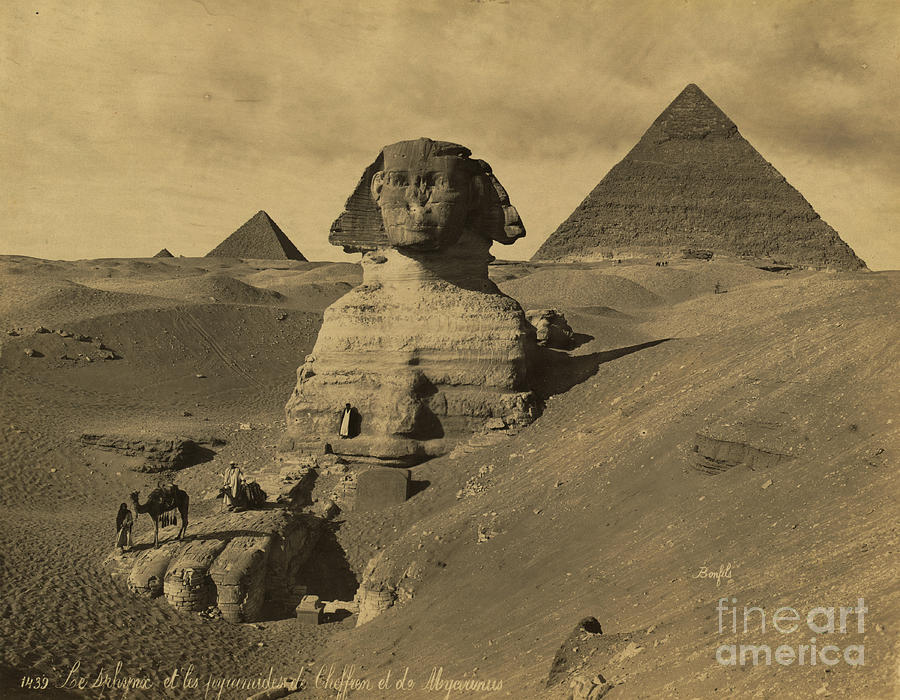 Sphinx And The Pyramids, 19th Century Photograph by Science Source