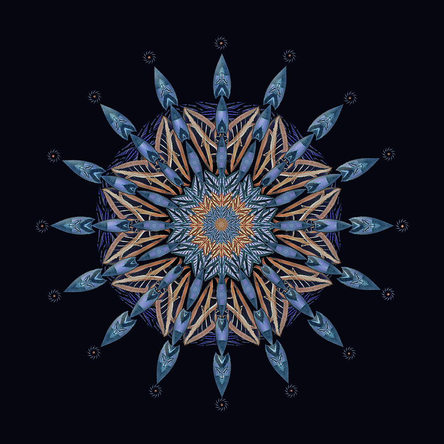 Sphinx Moth Pattern Mandala Digital Art by Deborah Smith
