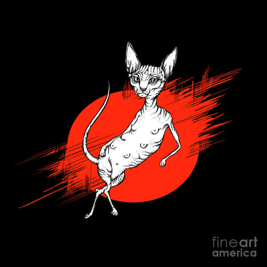 Sphynx Cat Digital Art by Ang El