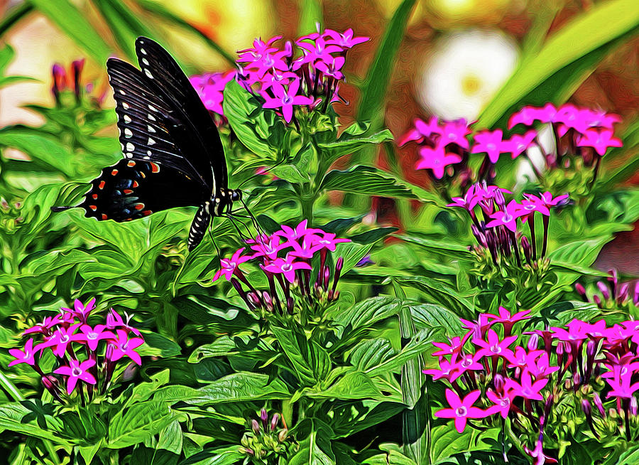 Spicebush Swallowtail Painted Photograph by Judy Vincent