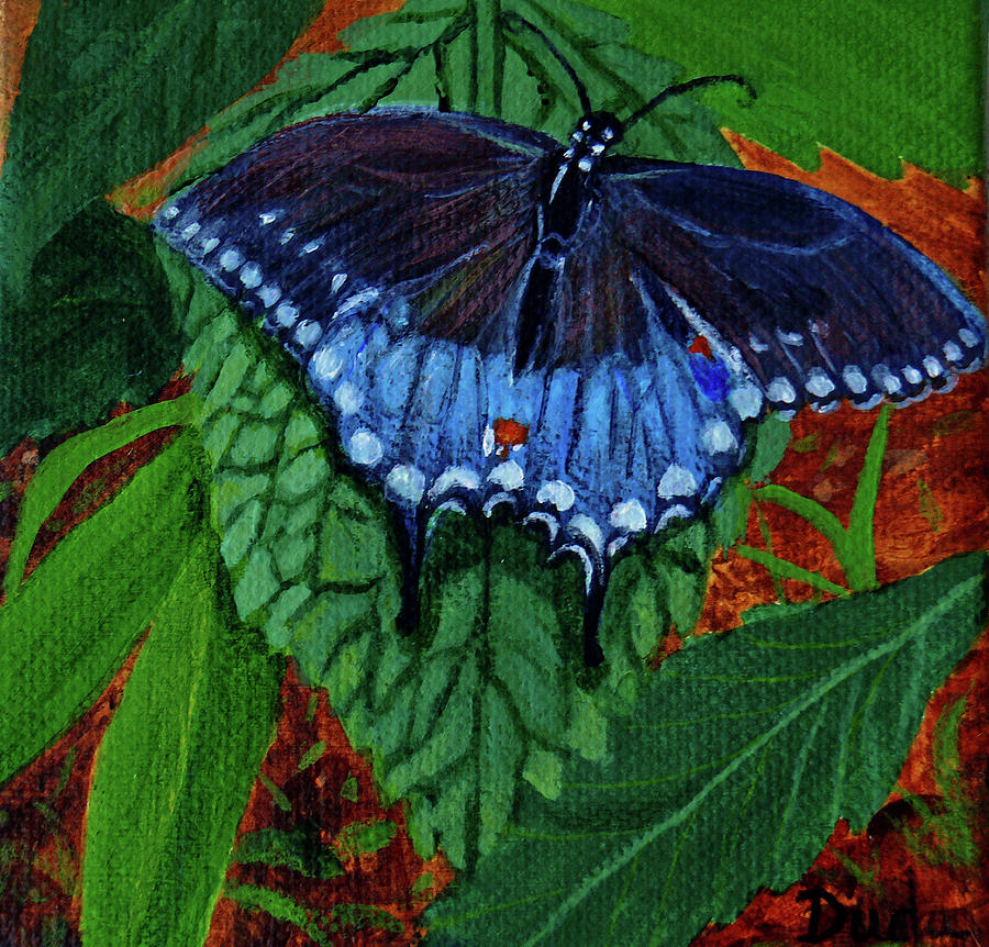 Spicebush Swallowtail Painting by Susan Duda