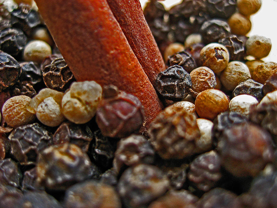 Spices Photograph - Spices. Cinnamon and pepper. by Andy i Za