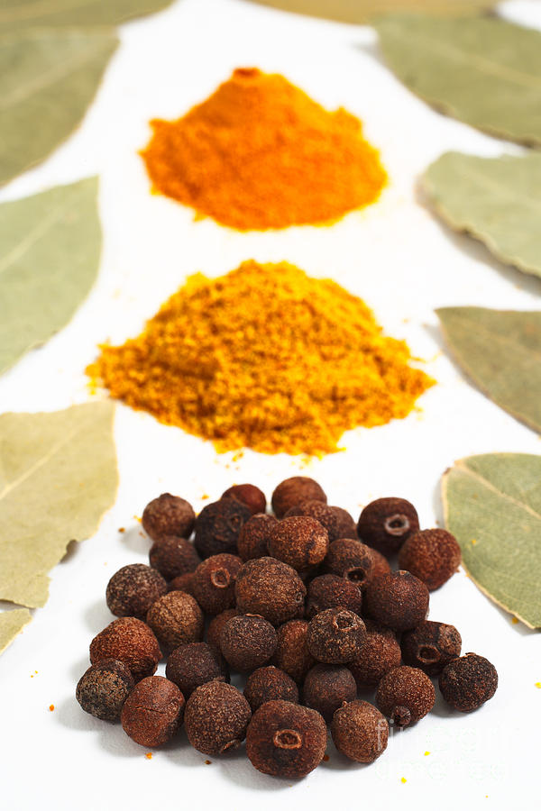 Curry Photograph - Spices by Gaspar Avila