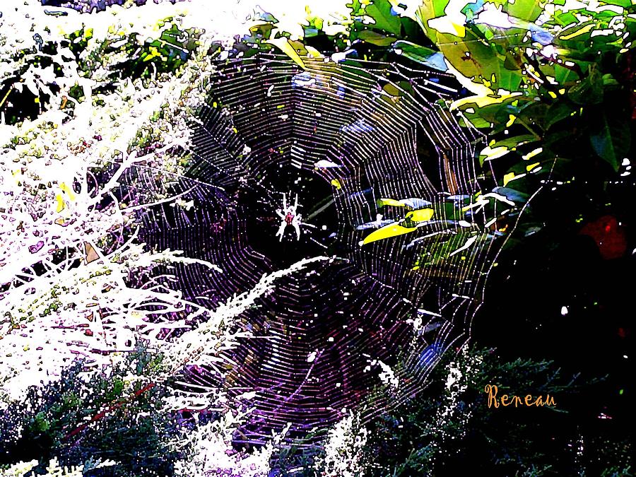 SPIDER and WEB 2 Photograph by A L Sadie Reneau