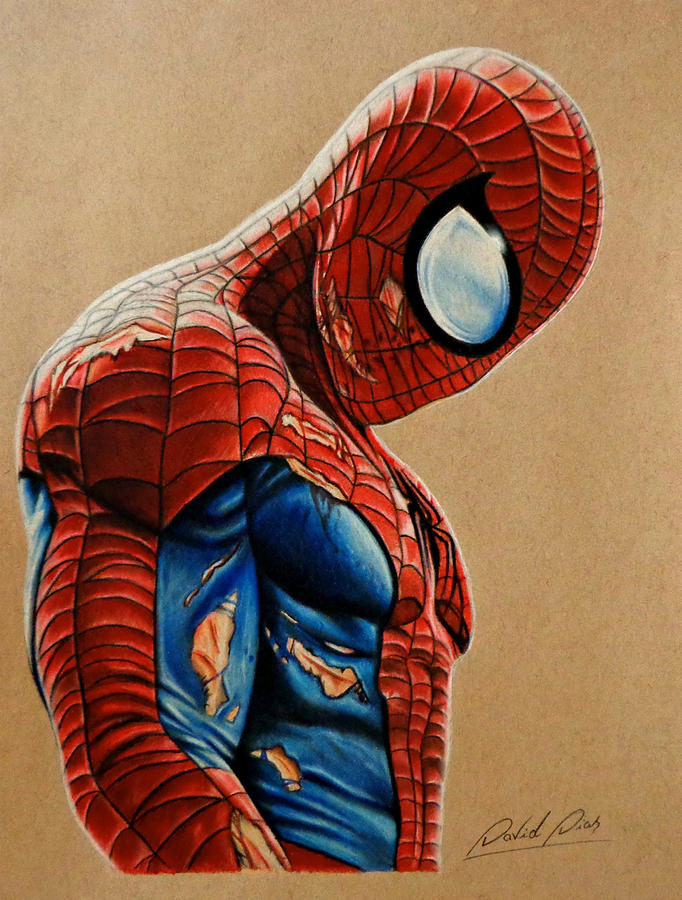 Spider-man Drawing by David Dias
