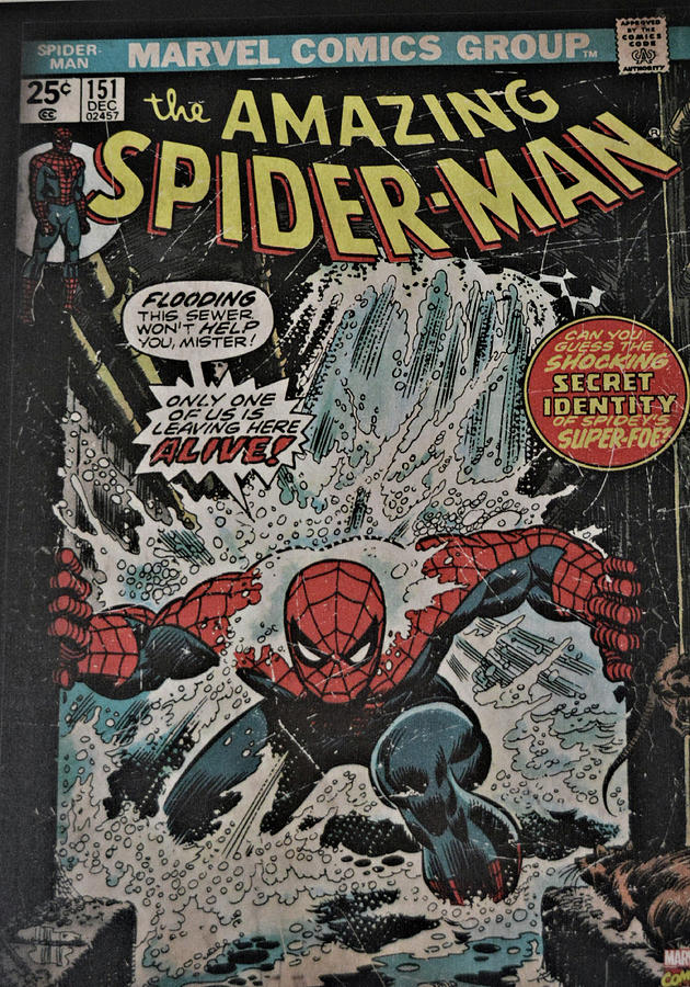Movie Photograph - Spider-Man Super Hero by Nancy Jenkins