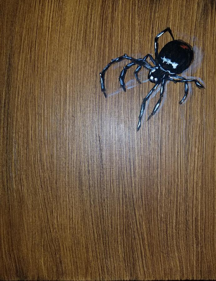 Spider On The Floor