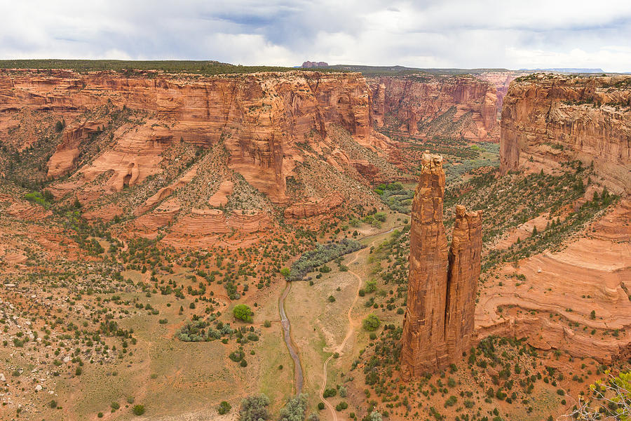 Spider Rock Photograph by Penny Meyers