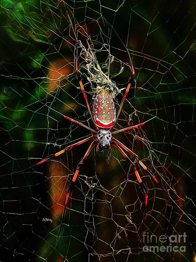 Spider Photograph - Spider Silk by Patrick Witz