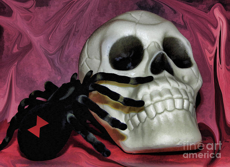 Spider Skull Photograph by D Hackett